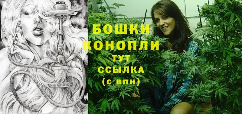 магазин  наркотиков  Менделеевск  Канабис OG Kush 